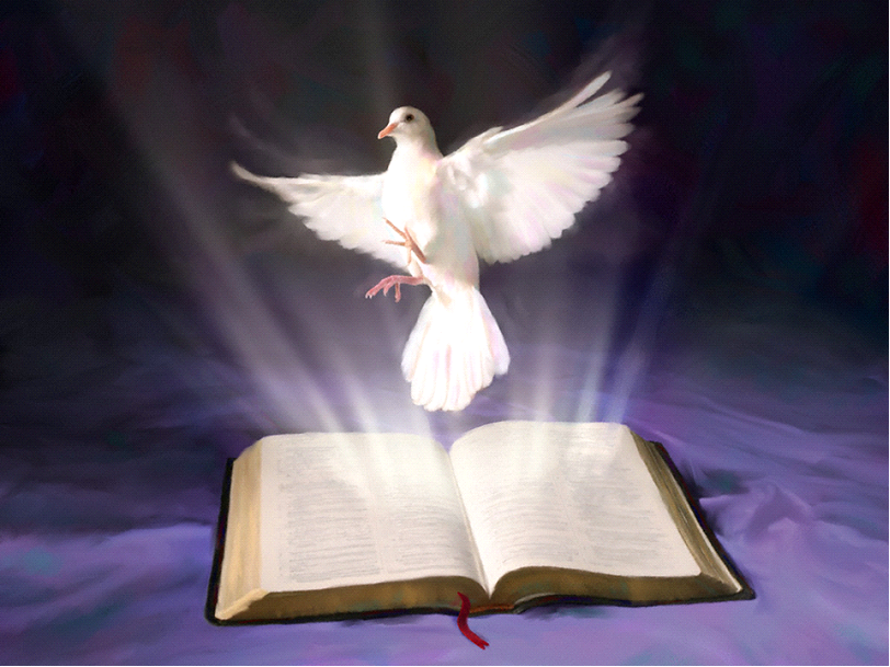 dove-bible